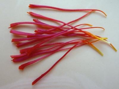 Kashmiri Saffron - Image 2