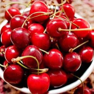 Kashmiri Cherry – Coming Soon