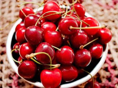 Kashmiri Cherry – Coming Soon