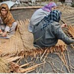 Waguv Kashmir: The Eco-Friendly Reed Mat Craft PM Modi Just Made Every Indian Household Talk About